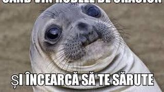 Meme-uri de iarnă. Sărbătorile de iarnă vor fi mai vesele cu aceste imagini! Galerie foto