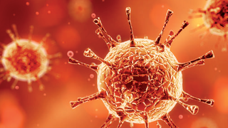 Peste 16 milioane de infectări cu coronavirus în SUA