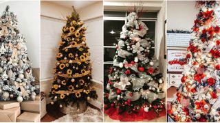 Preţ brad Crăciun 2020