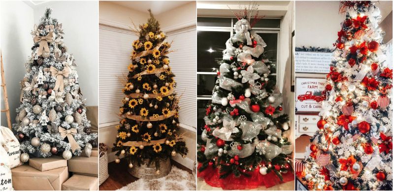 Preţ brad Crăciun 2020