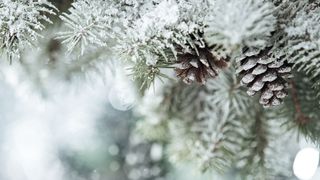 Prognoza meteo azi, 14 decembrie 2020. Vreme rece și ploioasă