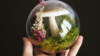 VIDEO - Anul acesta ne putem decora bradul de Crăciun cu globuri vii