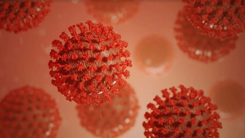 india cazuri covid 19