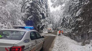 șofer &icirc;mpușcat de polițiștii rutieri