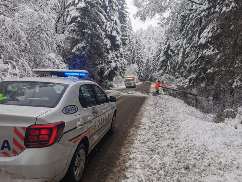 șofer împușcat de polițiștii rutieri