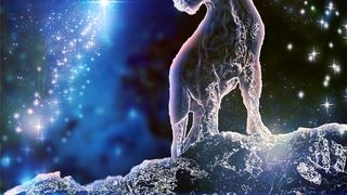 horoscop 20 decembrie 2020