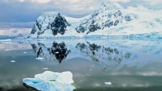 Antarctica a raportat primele cazuri de COVID-19