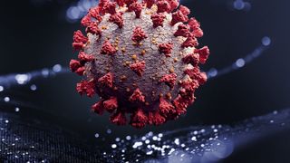 Noua tulpină de Coronavirus a ajuns în Canada