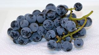 Ce nu trebuie să mănânci de Revelion 2021? Alungă norocul pentru tot anul 2021