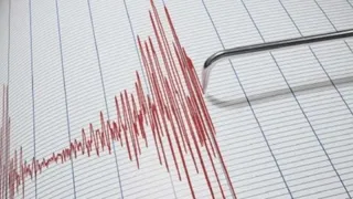 Două cutremure, sâmbătă dimineață, în România. În ce zonă s-au produs și ce magnitudine au avut