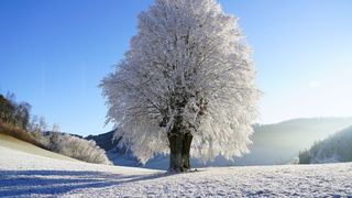 Când va ninge în 2021 - 2022. Vești surprinzătoare de la meteorologii ANM