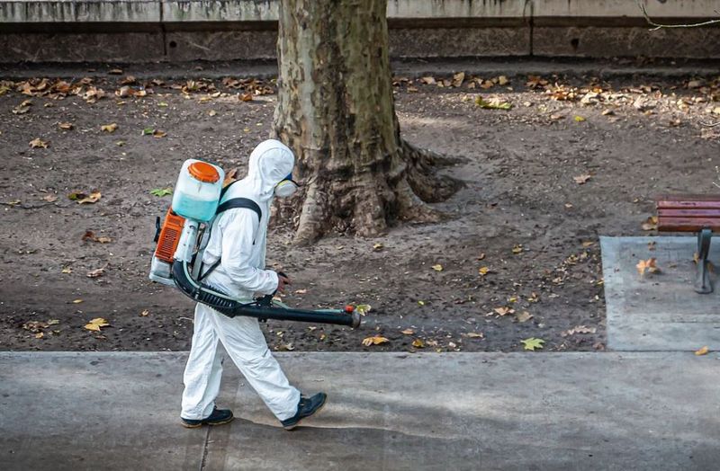 scoția intră în izolare