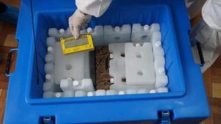 Vaccinul anti-COVID a ajuns la spital în cutii de pizza