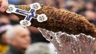 De ce se botează caii în ziua de 6 decembrie. Tradiția e veche de peste 100 de ani 