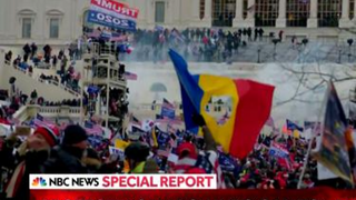 drapelul romaniei in SUA imagini virale in Romania proteste SUA