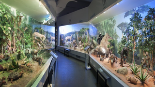 Top 10 cele mai frumoase muzee de vizitat &icirc;n București după ce trece pandemia