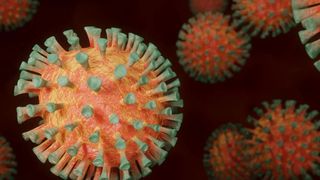 noua tulpină de coronavirus a ajuns în românia