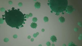 noua tulpină sars cov-2 &icirc;n China