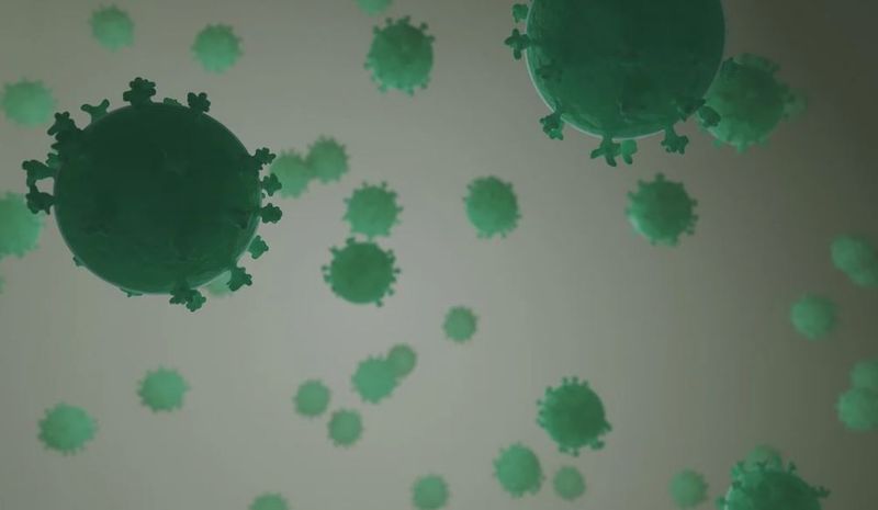 noua tulpină sars cov-2 în China