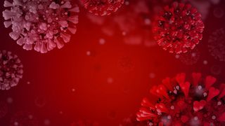 Anchetă OMS, în China, cu privire la originea SARS-CoV-2