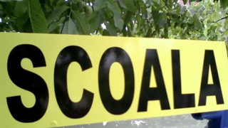 V&acirc;rsta minimă la care poți &icirc;ncepe școala de șoferi. Este adevărat că o poți faci și la 17 ani?