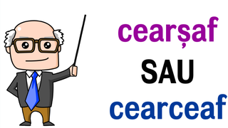 Cum se scrie corect: &rdquo;cearceaf&rdquo; sau &rdquo;cearșaf&rdquo;?