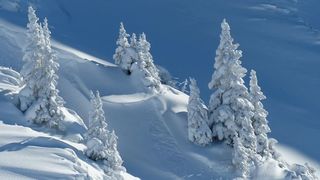 vremea la munte și în bucurești