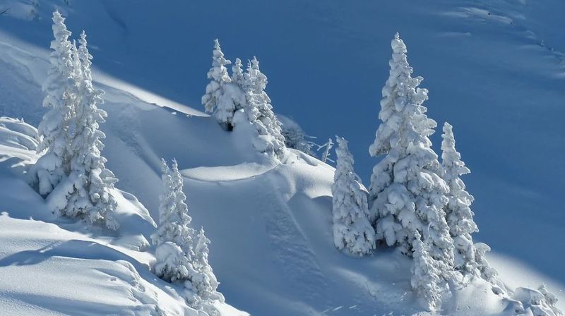 vremea la munte și în bucurești