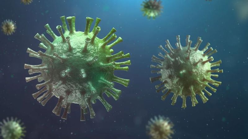 dominic fritz are coronavirus