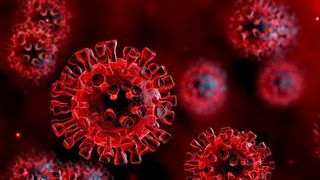 Două tulpini noi de coronavirus, descoperite de cercetători americani