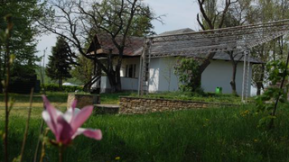 Cum arată acum casa lui Mihai Eminescu din Ipotești și cine are grijă de ea. FOTO