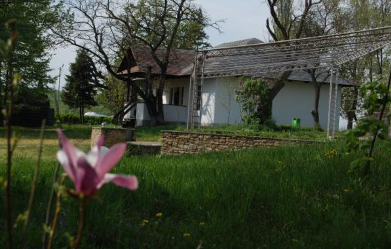 Cum arată acum casa lui Mihai Eminescu din Ipotești și cine are grijă de ea. FOTO