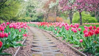 5 idei de alei pentru curtea casei tale. Cum să le faci să fie „la modă”