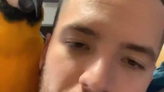 livian de la puterea dragostei viață de burlac