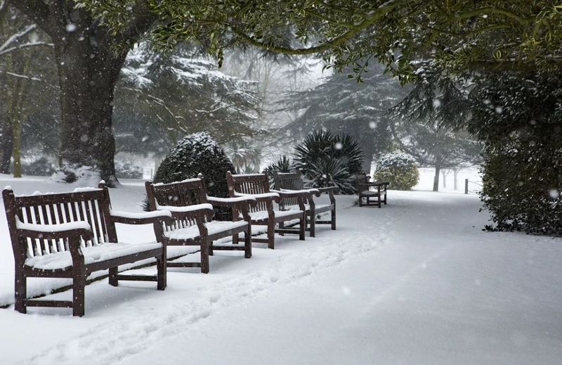 vremea în românia luna ianuarie