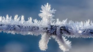 Vremea în România, azi 18 ianuarie 2021. Ninsorile lovesc țara din nou