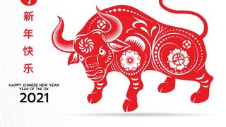 Zodiac chinezesc 2021: Este anul Bivolului Alb de Metal! Ce semnifică și de ce anume trebuie să ne ferim în acest an