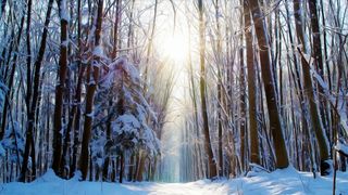 vremea-in-românia ianuarie 2021