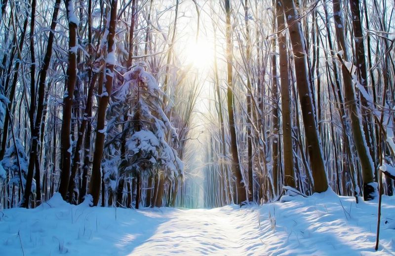 vremea-in-românia ianuarie 2021