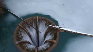 VIDEO - Decor de basme &icirc;n Bihor, unde lacul p&acirc;lnie a devenit &icirc;ntindere de gheață