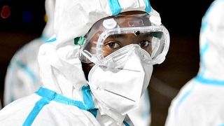 tulpina africana coronavirus