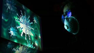 noile tulpini coronavirus