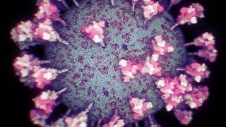 Cum arată virusul COVID-19, de fapt? Prima fotografie 3D - FOTO