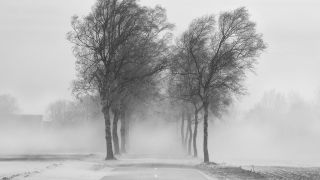 Alertă meteo: Cod galben şi portocaliu de vânt puternic, până luni dimineaţă