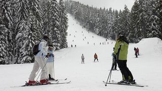 VIDEO - Momente de panică pe pârtia Clăbucet: Un schior a fost fugărit de un urs