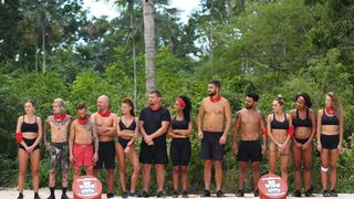 survivor 24 ianuarie 2021