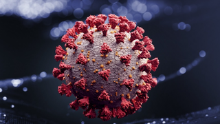 Record de decese în Marea Britanie din cauza COVID-19