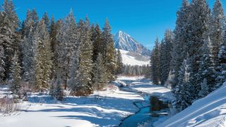 Vemea se schimbă radical după episodul de viscol puternic. Prognoza ANM