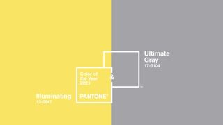 Care sunt cele două culori ale anului 2021 și cum au fost alease de specialiști