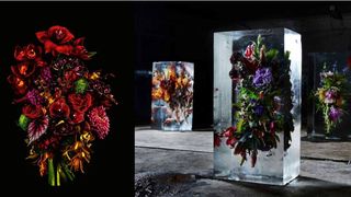 Florile criogenate, la mare căutare în 2021. Depozitul Crio Flowers confirmă trendul